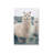 Alpaca Charm Canvas Print-1826732479-1826732475