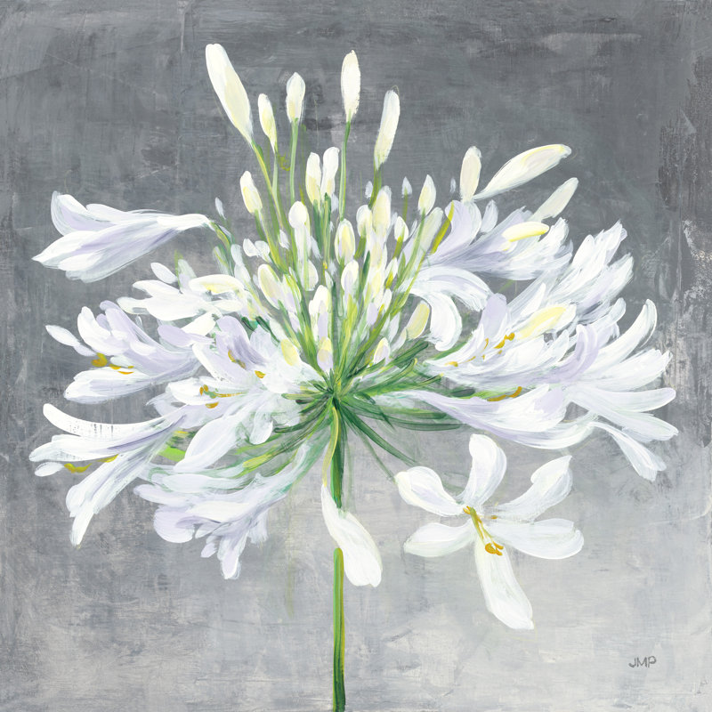 C-00311-Flowers Cleome, Green, White, Yellow, On Grey, Floral, Soft, 16" H x 24" W x 1.5" D
