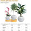 Petit pot de fleurs intérieur / extérieur en fibre de pierre Globe Kute Nest-114367089