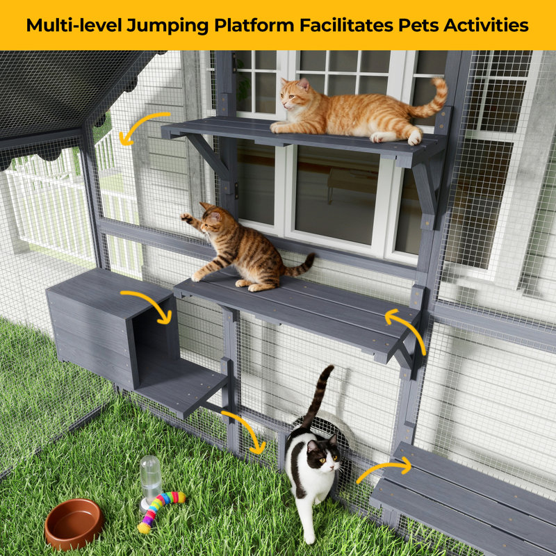 Cat Cage
