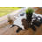 Charissa Cowhide Indoor Rug