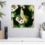 Cockatiels tropicaux Brampt-109373988