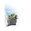 Balconera Window Box Planter-16493011-16493009