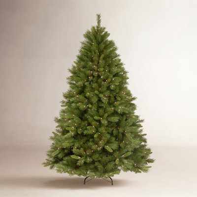 The Holiday Aisle® Winchester Pine Tree with Clear Lights