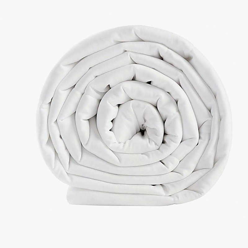 Down Alternative Blanket White Full/Queen, Full
