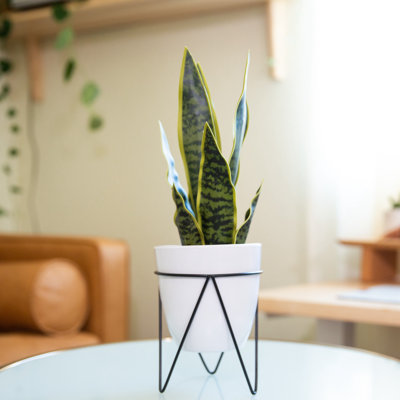 Plante artificielle 15,25 po en pot