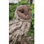 Statue de chouette effraie sur bois