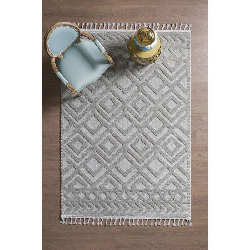 Premium Grey Area Rug, 31.5 x 59.1 Inches | 100% Polypropylene, 1.7 lbs/sq ft Pile Height 0.7 Inches | Machine Woven, Non-Slip Dot Underside, Antibacterial | Perfect for Living Room, Bedroom & Office Decor