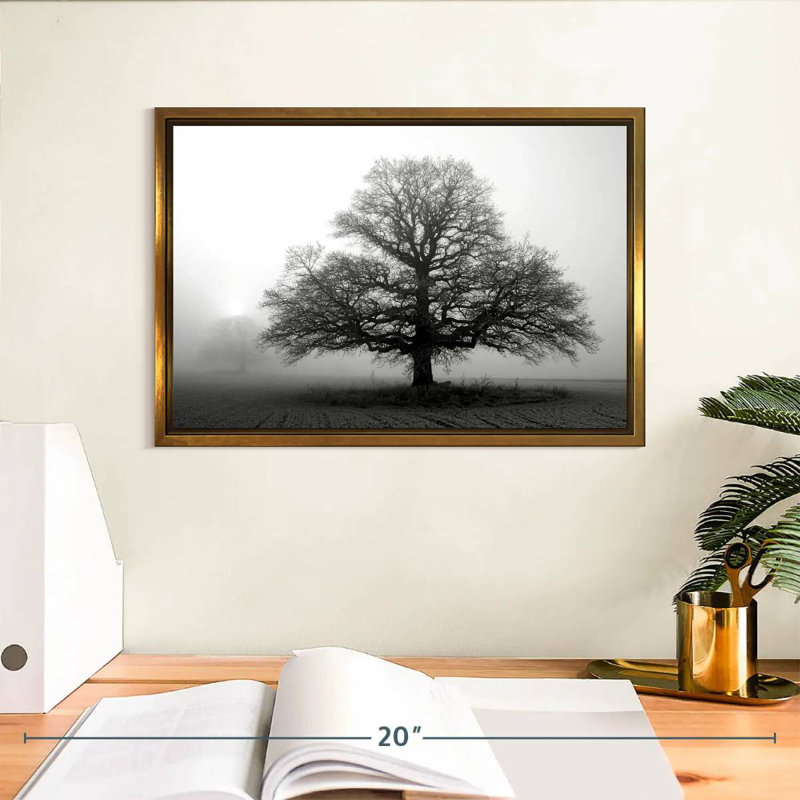 Arbre dans la brume, Cadre flottant doré, 13 po x 9 po