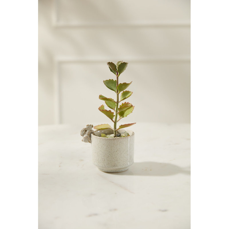 Sneaky Bunny Pot