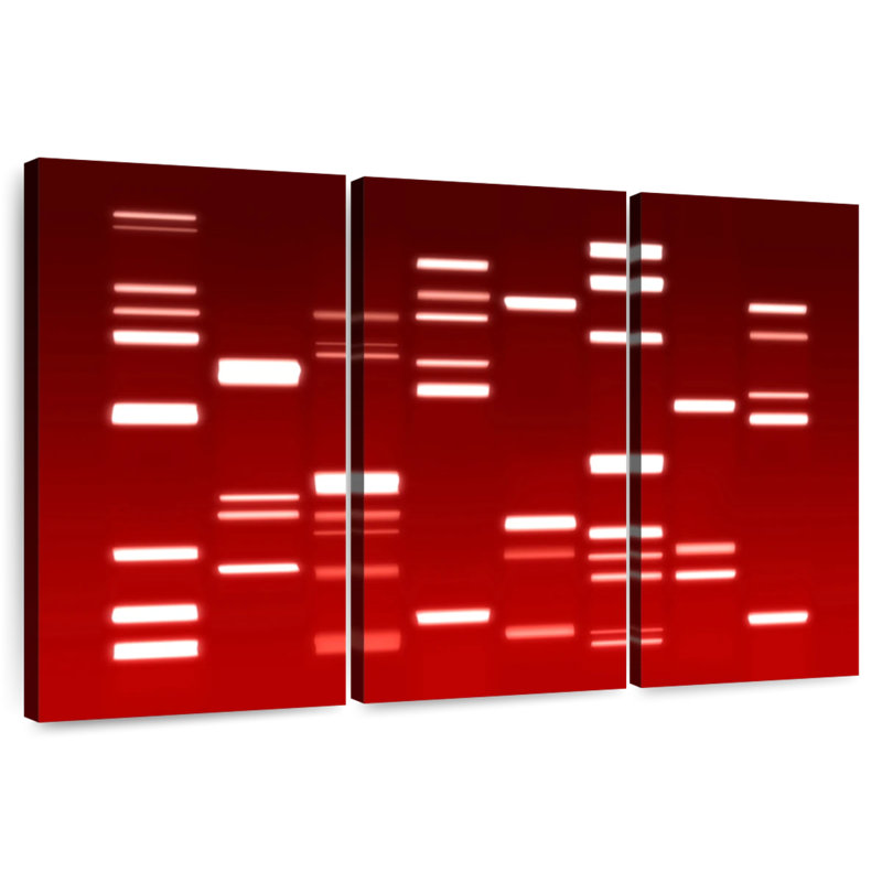 Keiri DNA Red, 20" H x 33" W