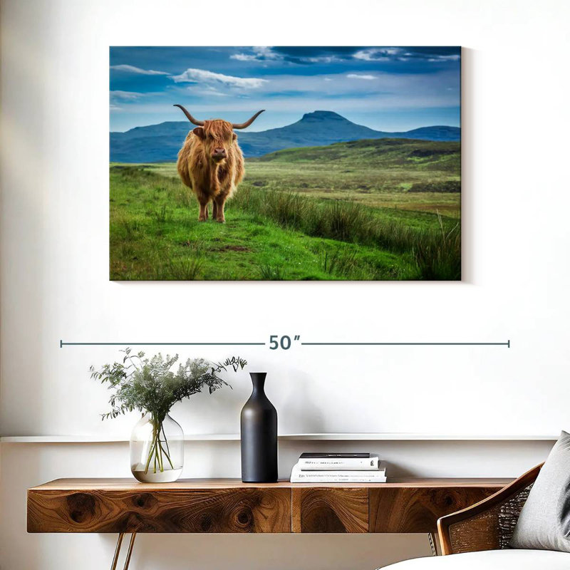 Brampt Skye Highland Cow, H 26 po x l 39 po