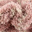 Tapis contemporain de couleur rose Annehild-71211300