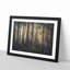 Pine Tree Forest In Spring - Single Picture Frame Print on MDF-56704686-56704687