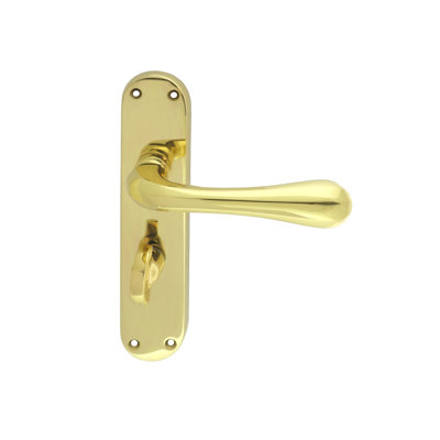 Astro Bathroom Door Handle