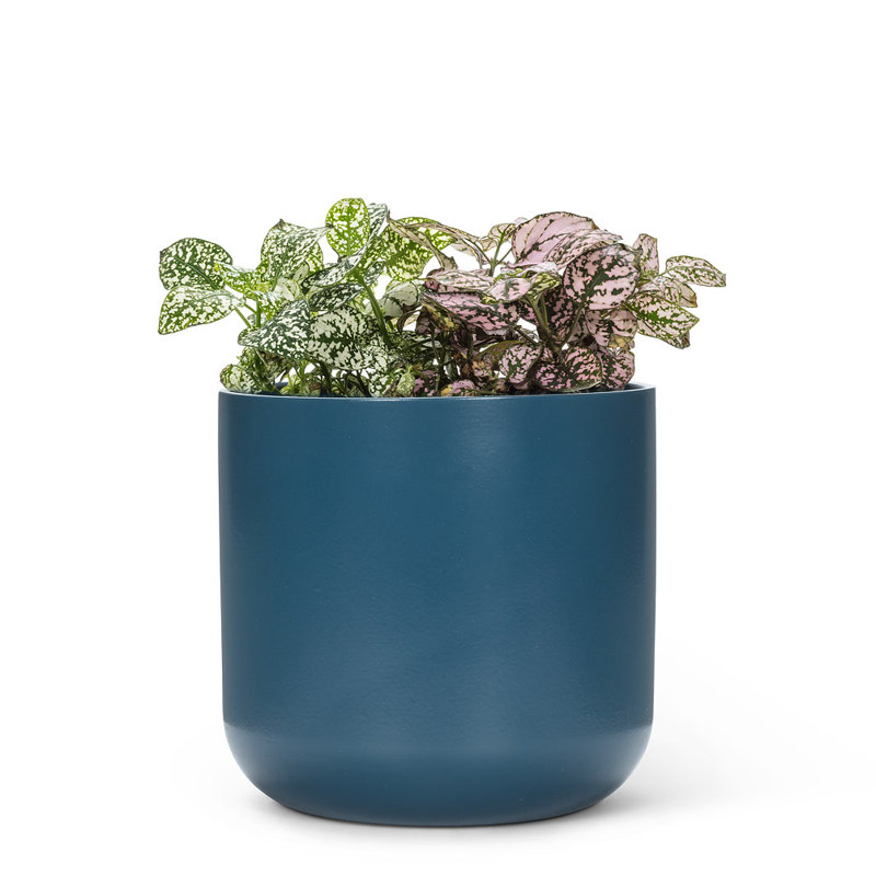 Cache pot en céramique, H 7 po x l 7 po x P 7 po, Bleu foncé