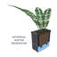 Pot Planter