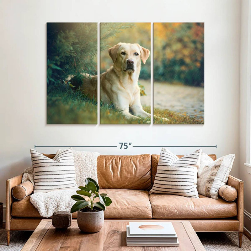 Brampt Labrador Retriever Mix, H 42 po x l 65 po