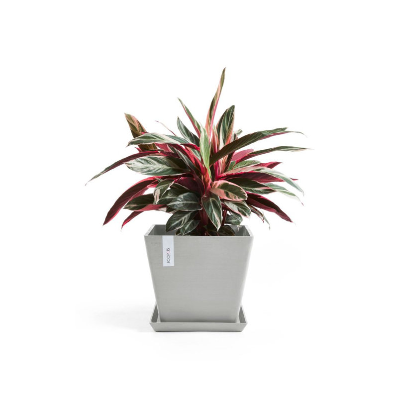 Jardinières en pot, H 11,81 po x l 11,81 po x P 10,24 po, Blanc gris