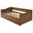 Anayelli Solid Wood Classic Daybed with Trundle-1531215804