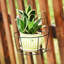 Plant Stand