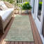 Tapis intérieur / extérieur vert Rosantha-1096929425