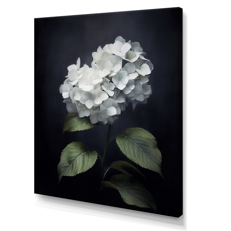 Fleurs d'hortensia noires et blanches sur toile, H 40 po x l 30 po x P 1 po, Toile tendue