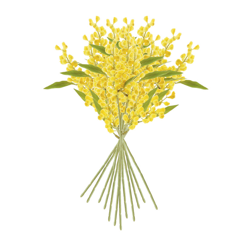 Anacortes, 11 pièces, ensemble de 12