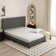 Ansonia 8" Plush Gel memory foam Mattress