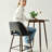 Berneta 26" Upholstered Counter Stools, Set of 2-655781645