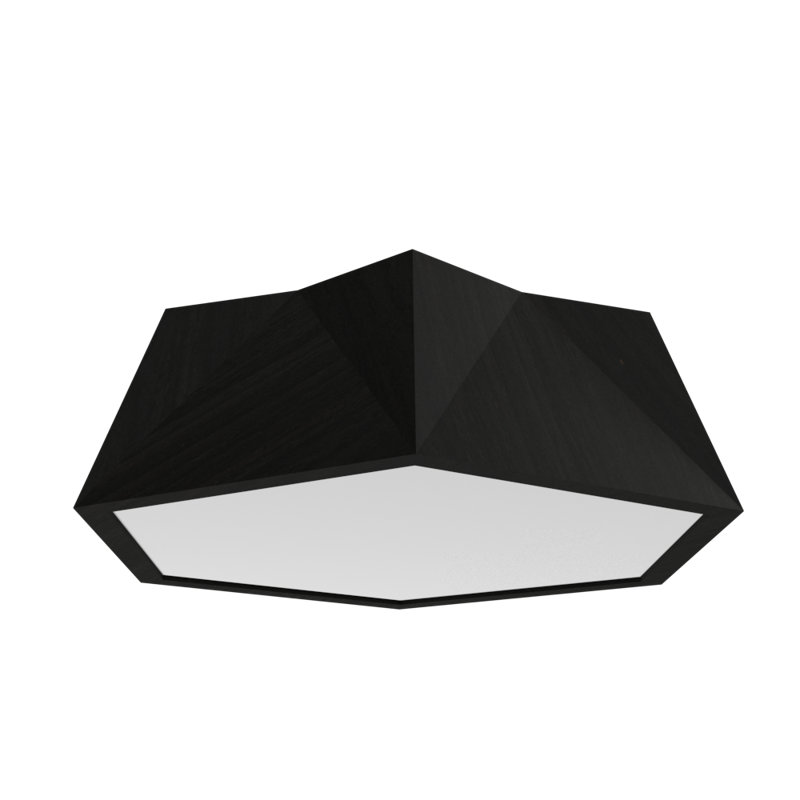 Physalis 1 - Light Flush Mount, 5.85" H x 19.5" W x 19.5" D, Charcoal