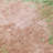 Julian Pink Washable Indoor-Outdoor Rug - -1520864125