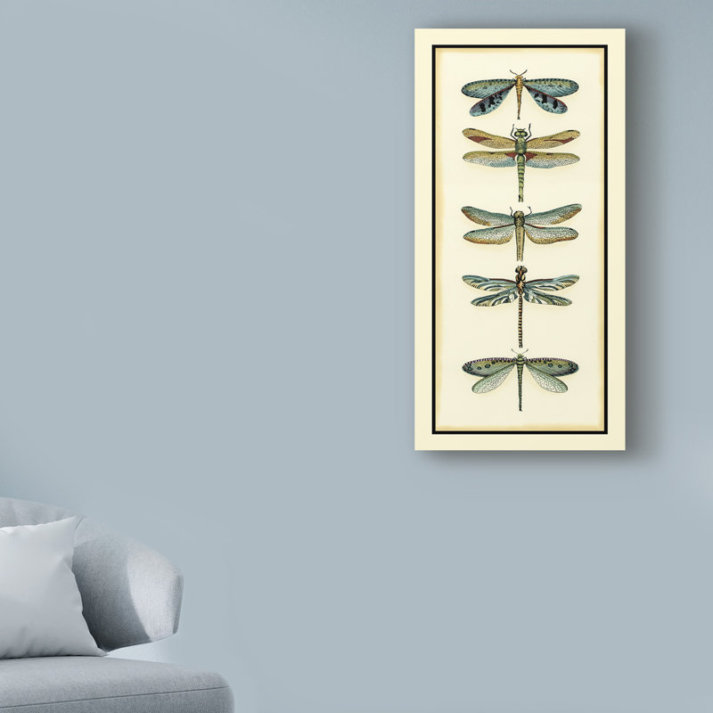 « libellule collector i », reproduction d’impression sur toile tendue, H 19 po x l 10 po x P 2 po