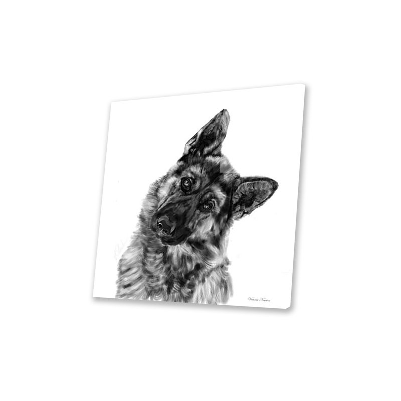 Berger allemand, impression curieuse sur verre acrylique, H 24 po x l 24 po x P 0,25 po