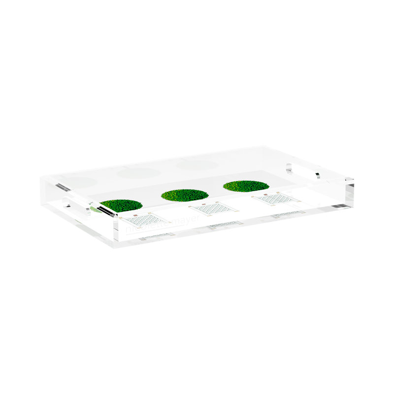 Decorative Tray, 17"W x 10.5"D x 2"H