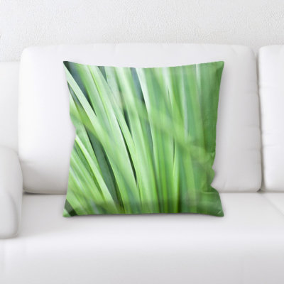 Coussin décoratif flou