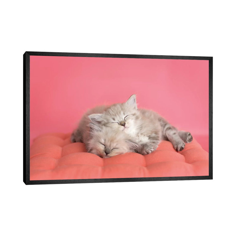 Chloe And Zoe by Rachael Hale - Print on Canvas, Black Framed, 66.04 cm H x 45.72 cm W