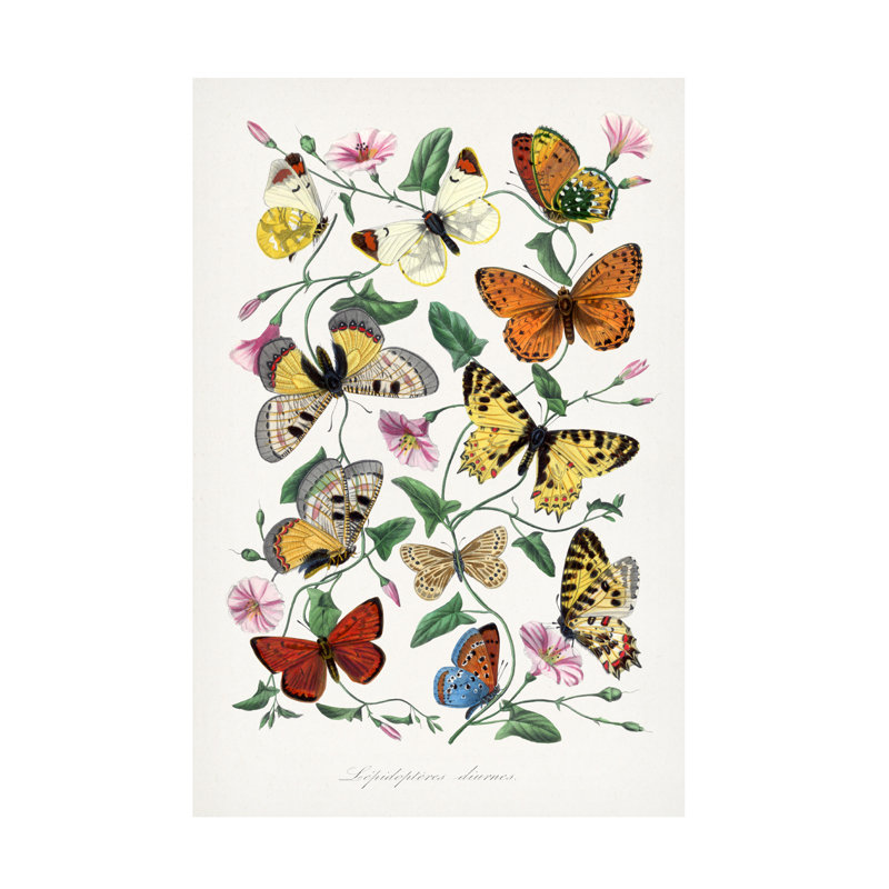 Art sur toile, "Le jardin des plantes", H 19 po x l 12 po x P 2 po