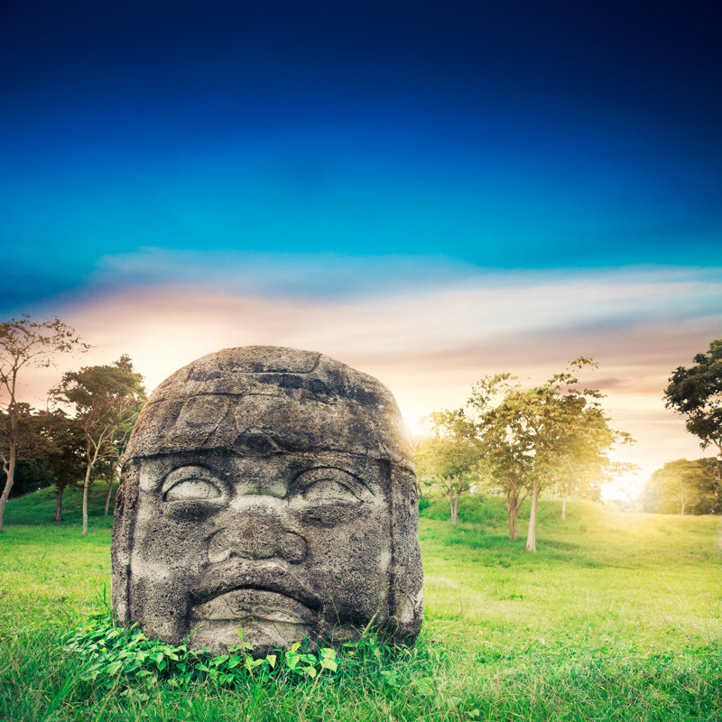 Antilles Olmec Colossal Head by Fergregory - Wrapped Canvas Print, 51cm H x 51cm W x 3.8cm D