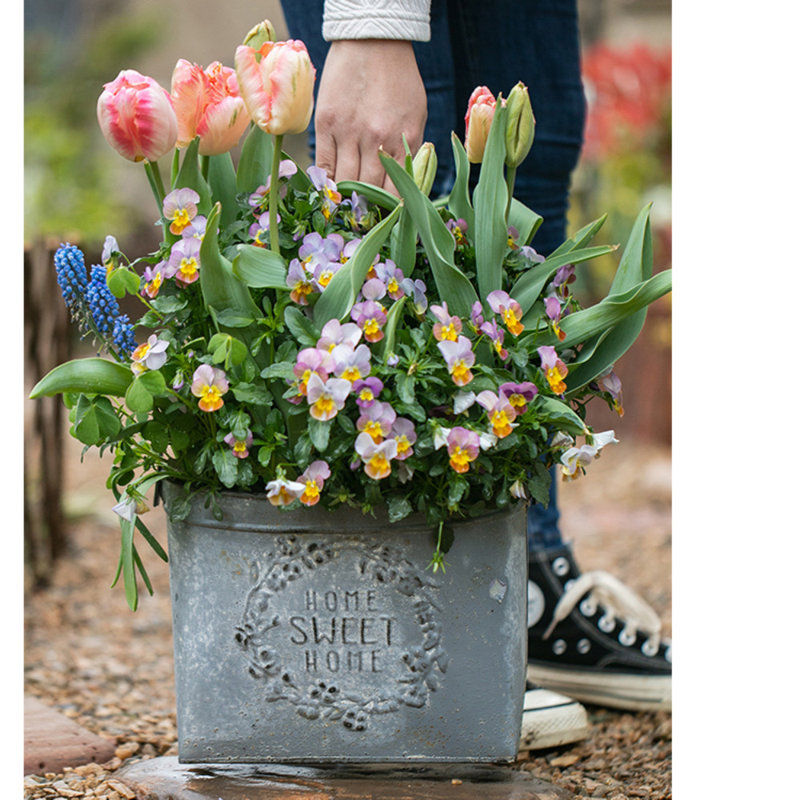 Pot de fleurs en fer Prendergast, H 15,5 po x l 9,5 po x P 7,5 po