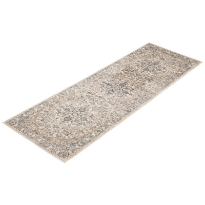 Oriental Indoor Rug