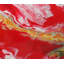 Birds of Paradise Painting