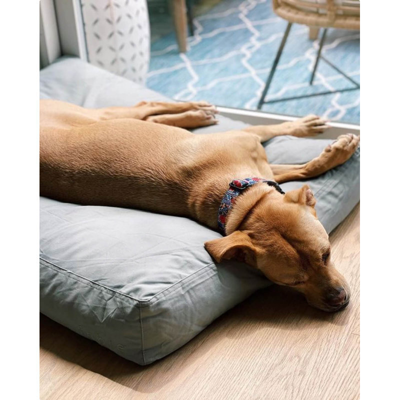 Signature Pillow/Classic Bed, Silver Blue, Extra Large (30" W x 40" D x 5" H)