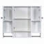 Modern Wall Mounted Bathroom Cabinet with Multiple Storage Options and Stylish Design-1756492428