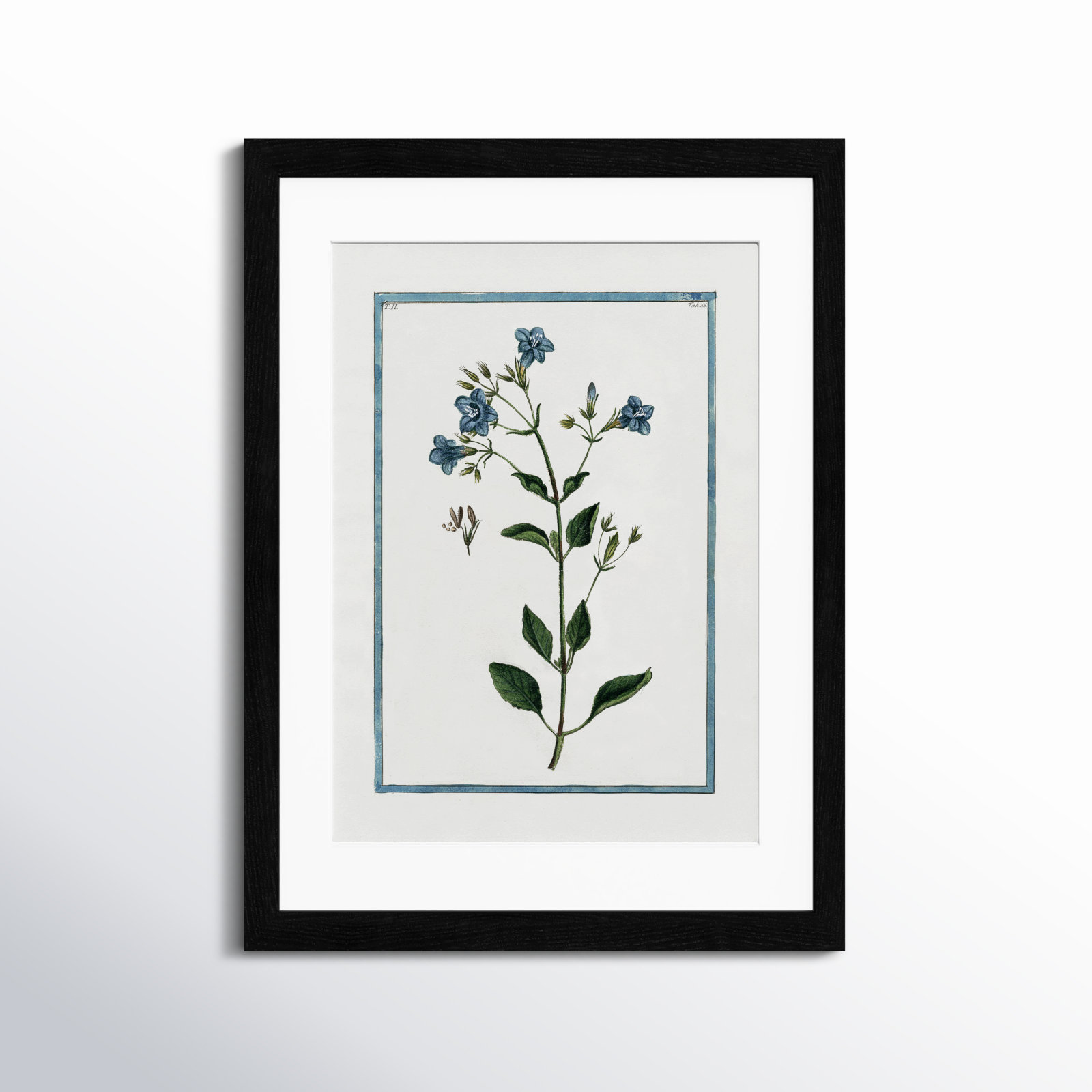 Shabby Elegance Botanical II - Framed Art, Black Framed, 17" W x 23" H