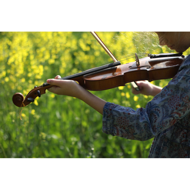 Playing the Violin 1 Piece Wrapped Canvas Wall Art, 81cm H x 122cm W