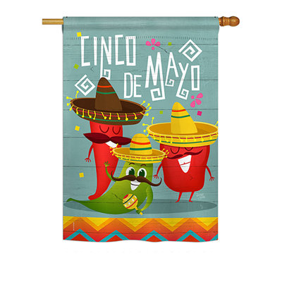 Coney Double Sided 40'' H x 28'' W Polyester Cinco De Mayo House Flag