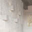 Leo Concrete Flush Mounted Sconce