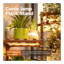 Plant Stand