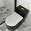 Toilette allongée monopièce à double chasse (siège inclus)